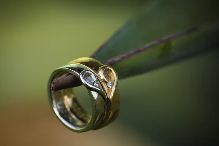 Detalle de los anillos