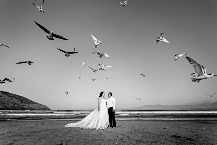 Pareja en la playa bajo el vuelo de las aves